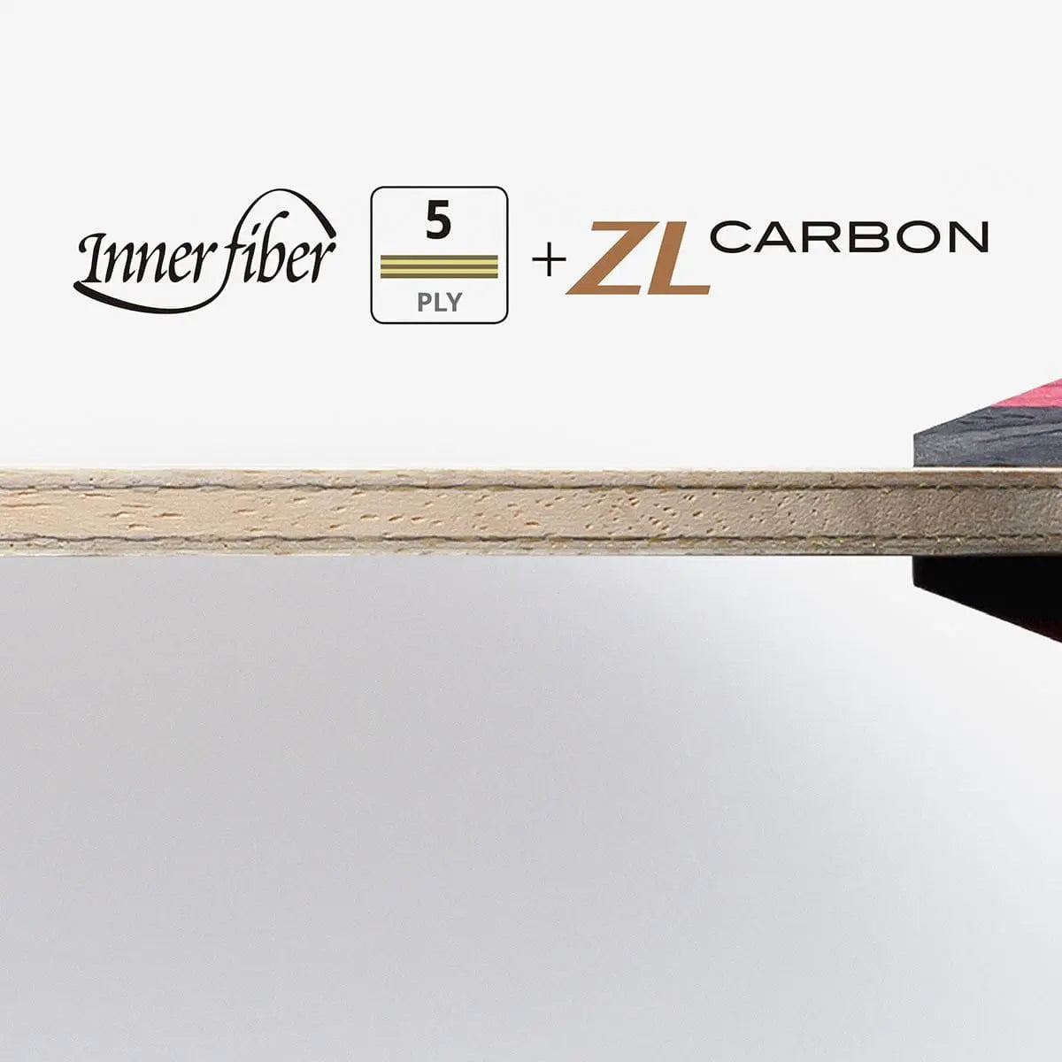 卓球用品 株式会社タマス Butterfly アポロニア ZLC FL (36831)