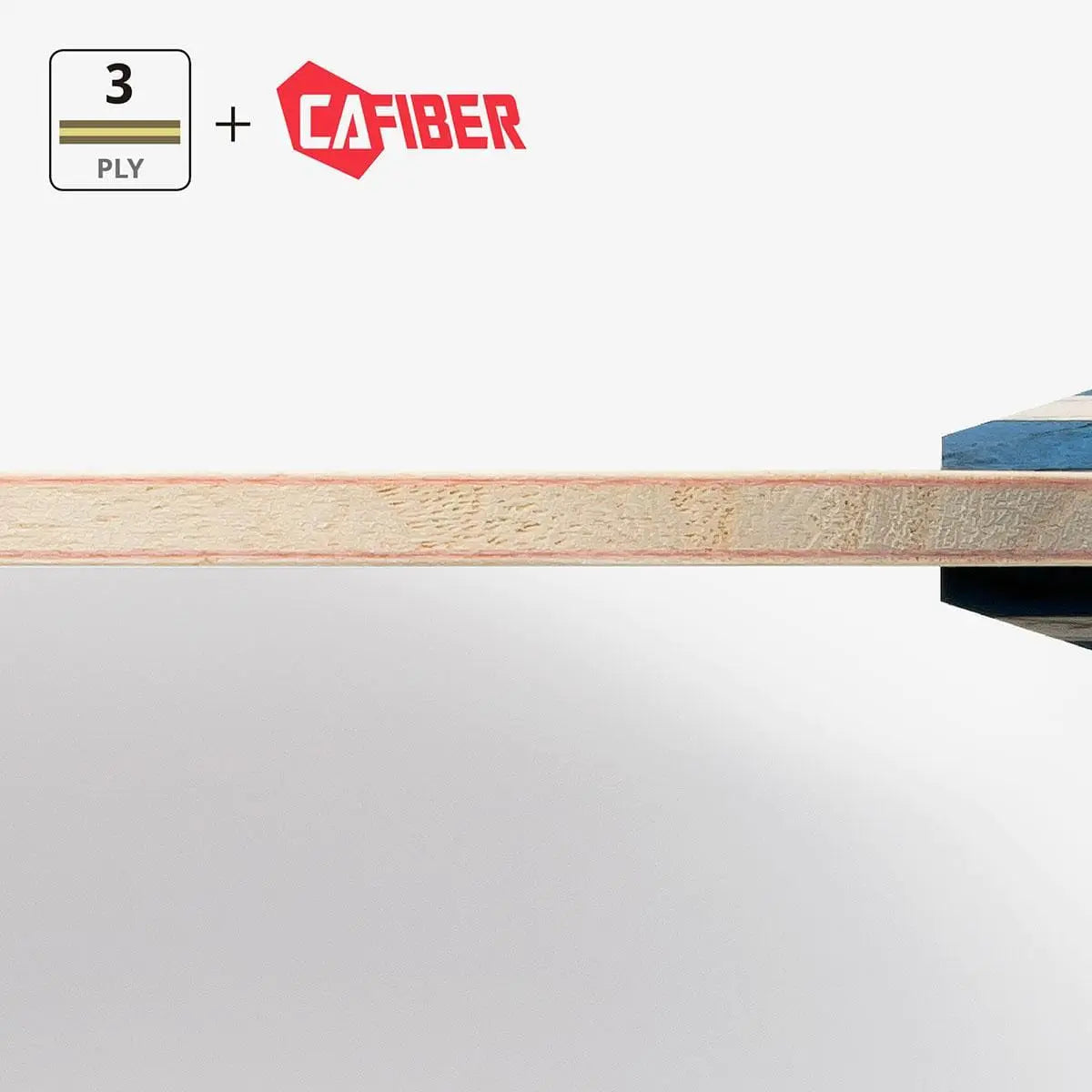 卓球用品 株式会社タマス Butterfly ティモボル CAF FL (36951)
